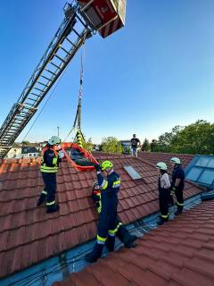 PHOTO-2025-04-13-22-05-08 2 Kopie.jpg